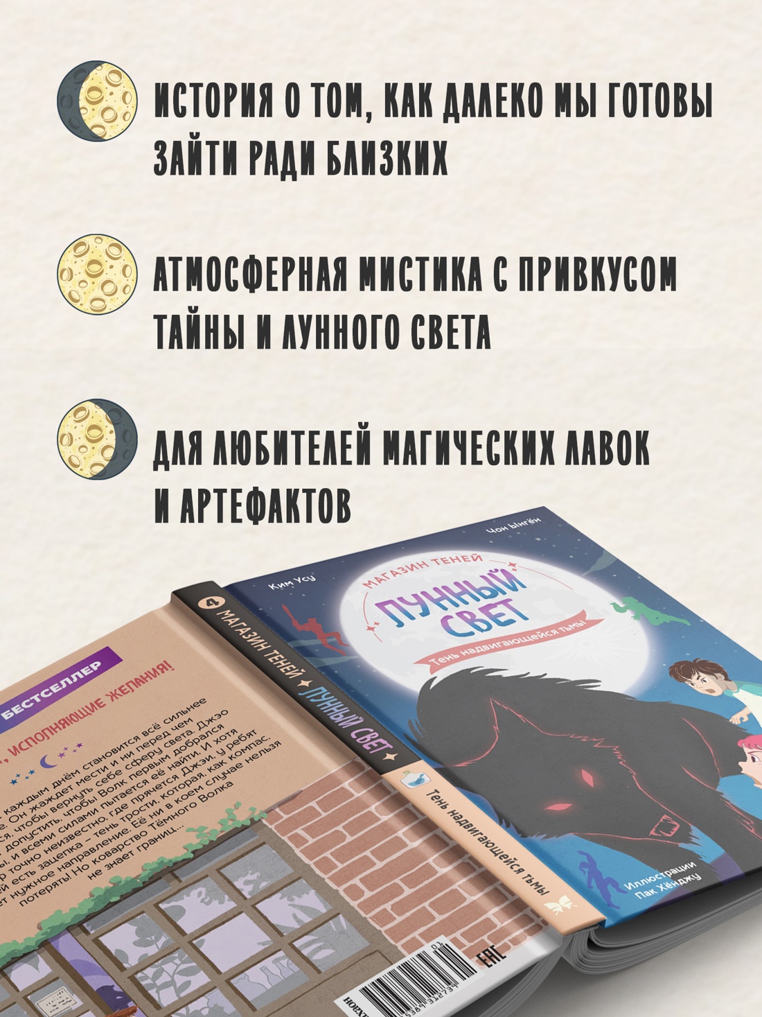 Промо материал к книге "Магазин теней «Лунный свет». Книга 4. Тень надвигающейся тьмы" №2