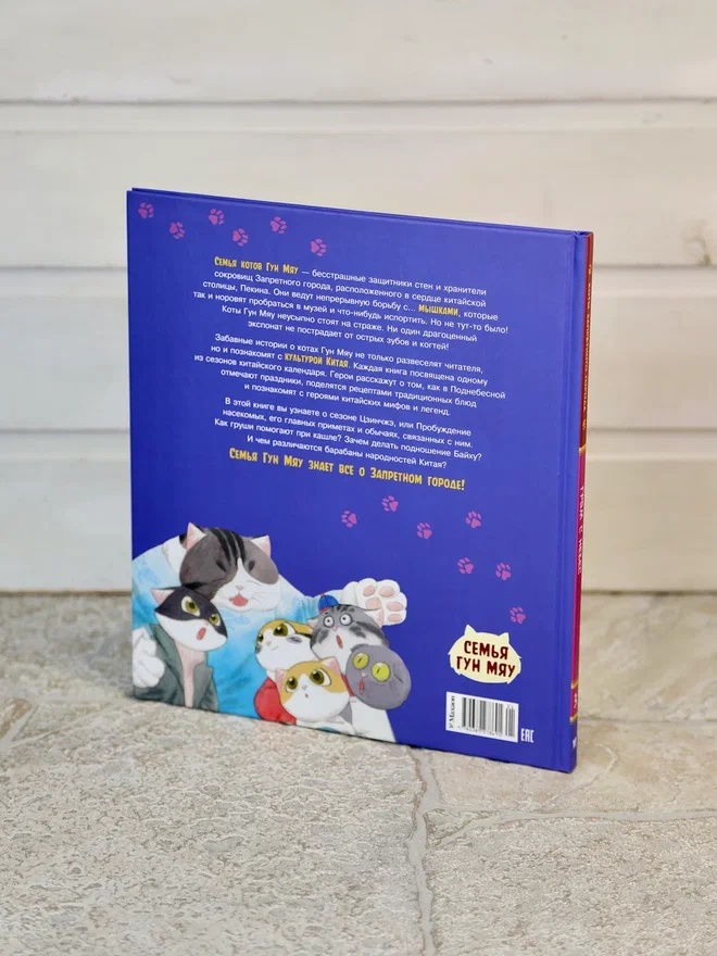 Промо материал к книге "Коты Запретного города. Книга 3. Гром с небес" №11