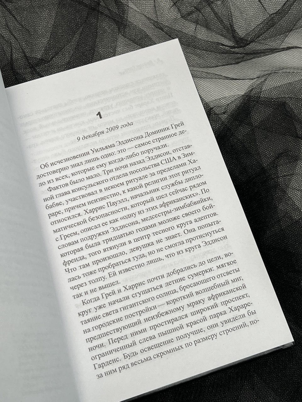 Промо материал к книге "Заклинатель" №10