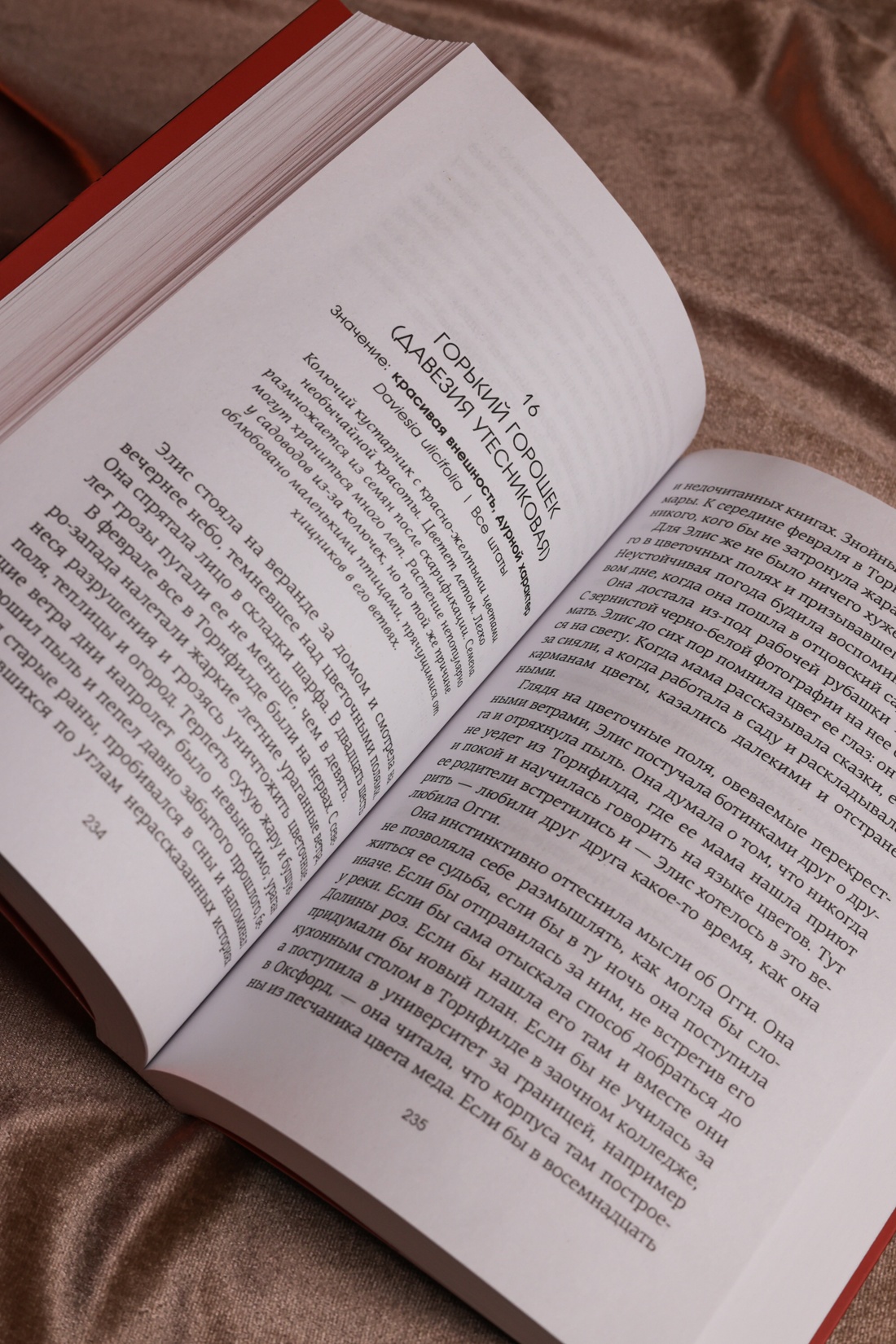 Промо материал к книге "Потерянные цветы Элис Харт" №10