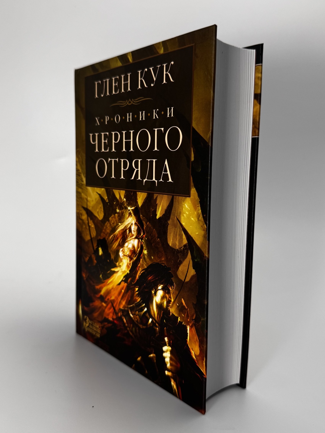 Промо материал к книге "Хроники Черного Отряда: Черный Отряд. Замок теней. Белая Роза" №3