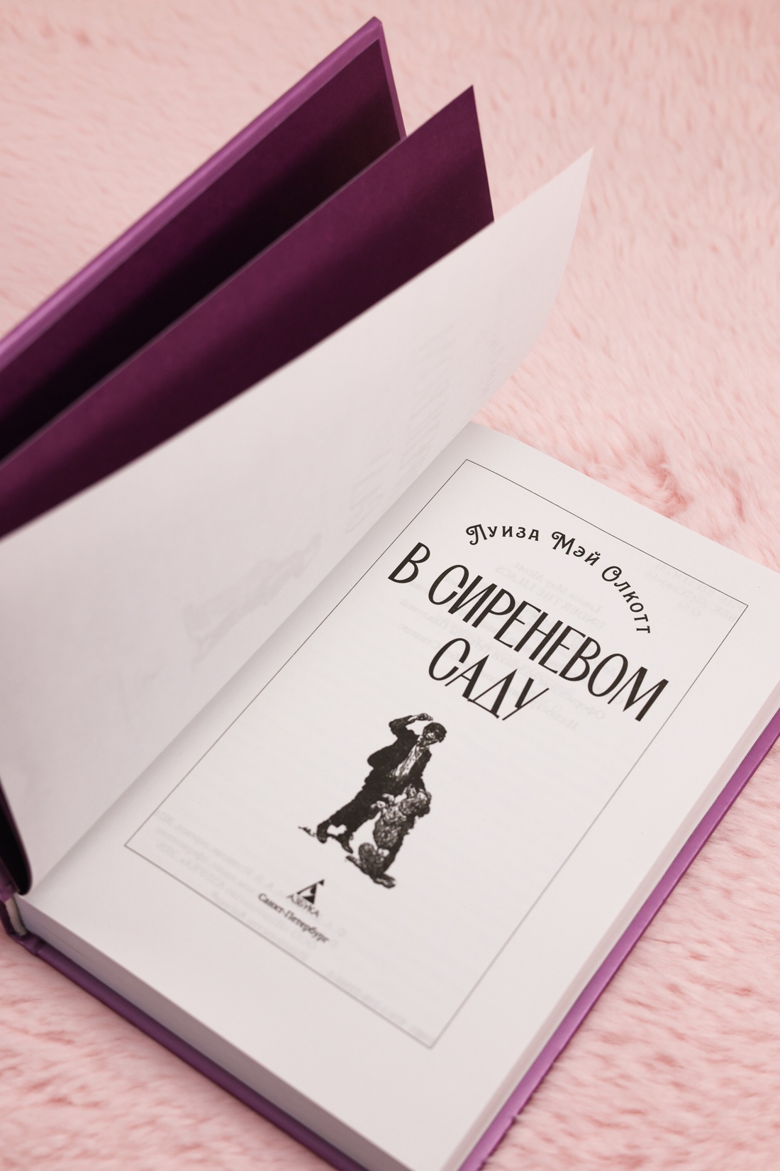 Промо материал к книге "В сиреневом саду (с иллюстрациями)" №7