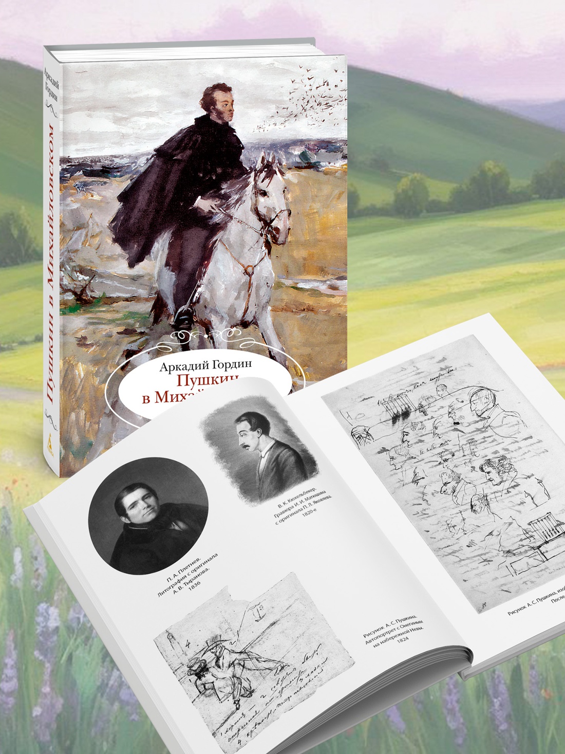 Промо материал к книге "Пушкин в Михайловском" №2