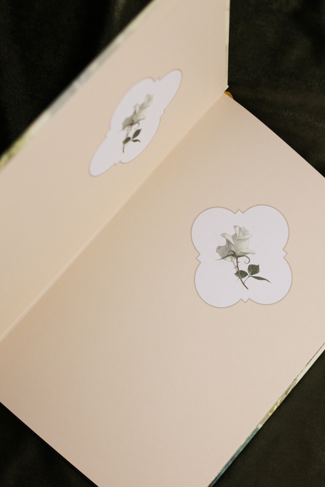 Промо материал к книге "Пчелка (илл. В. Ненова)" №8