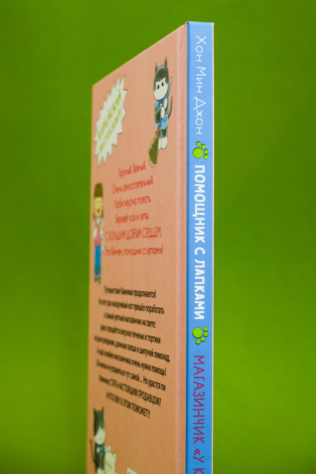 Промо материал к книге "Магазинчик «У кота»" №5