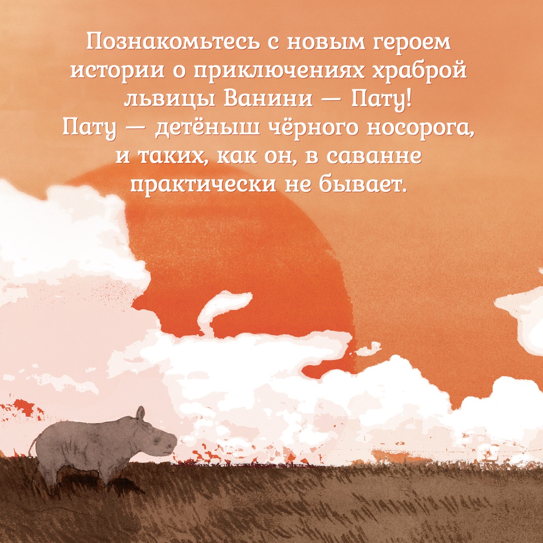 Промо материал к книге "Приключения маленького носорога" №2