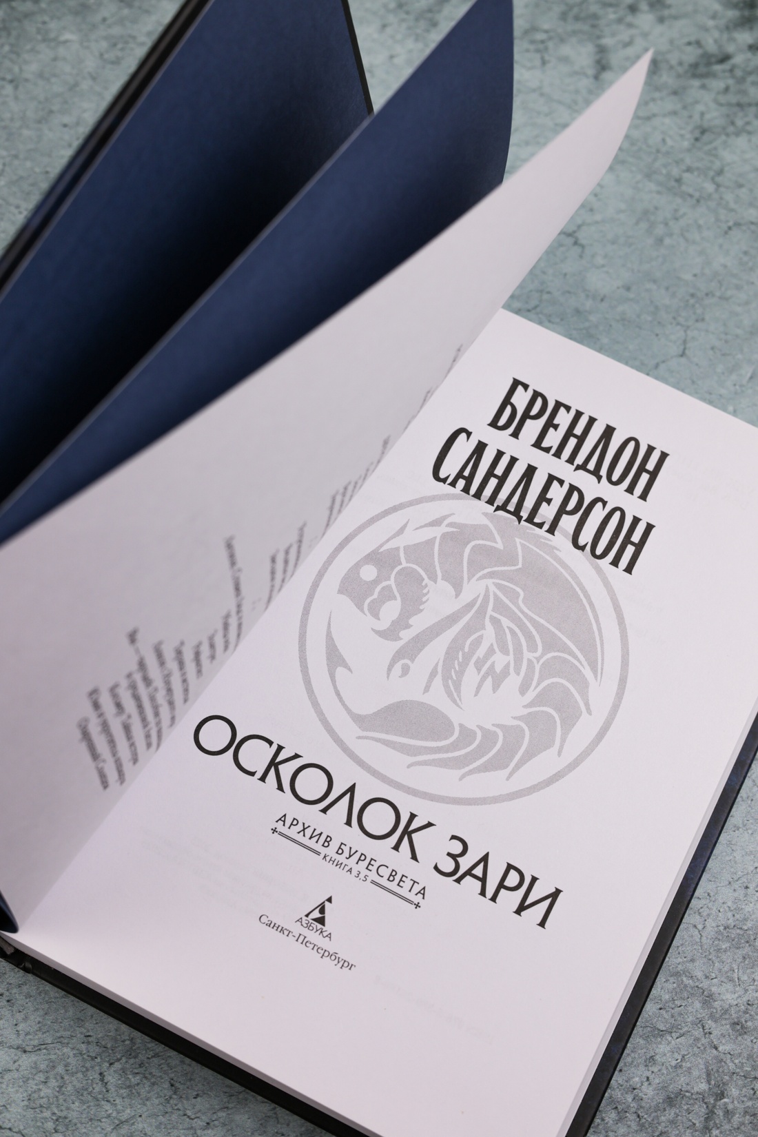 Промо материал к книге "Архив Буресвета. Книга 3.5. Осколок Зари" №4