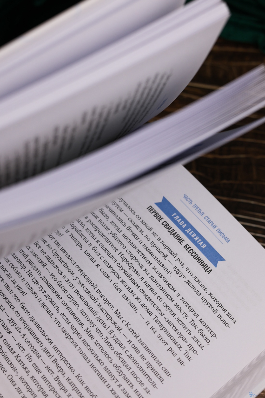 Промо материал к книге "Два капитана (илл. Юрий Гершкович и др.)" №12