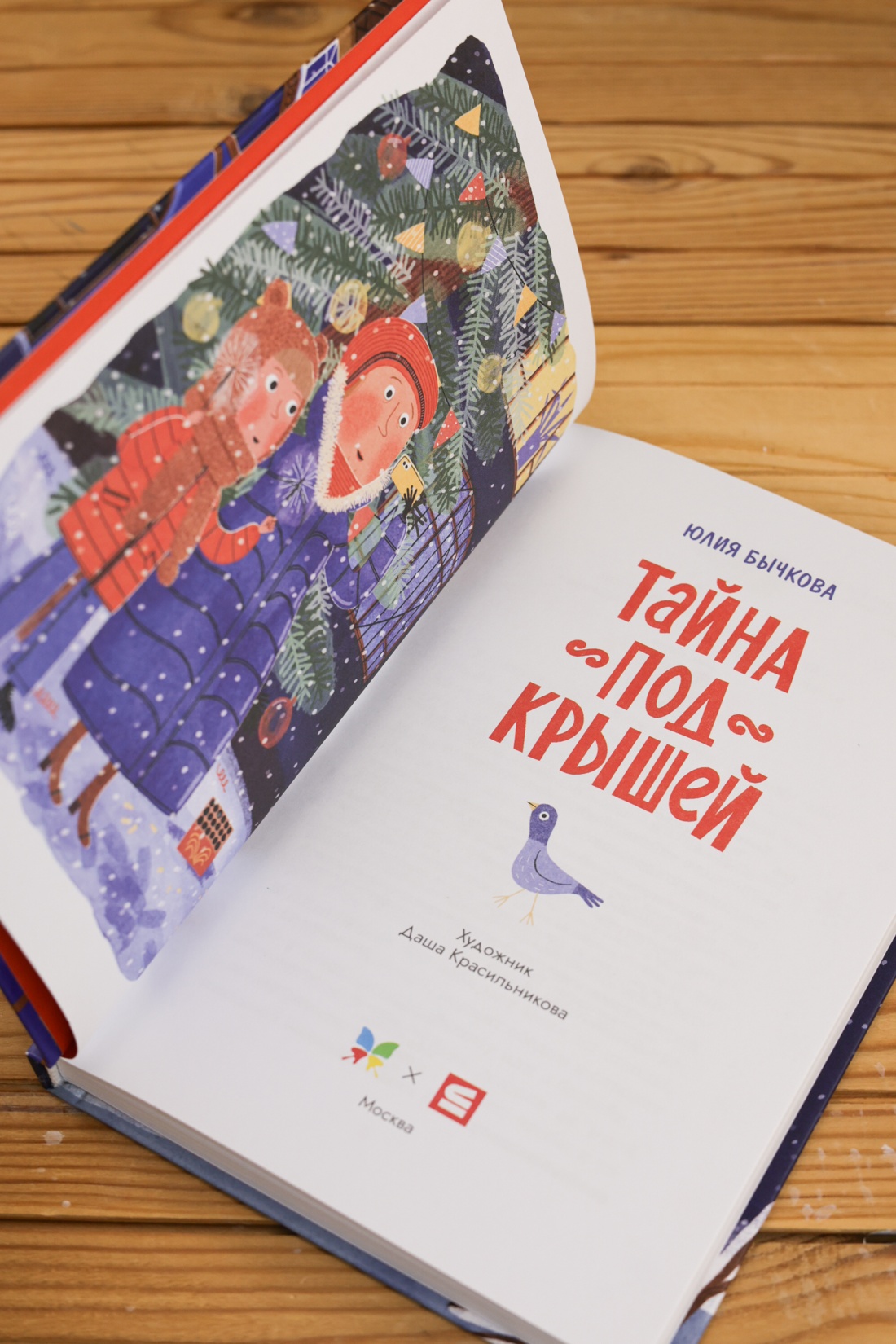 Промо материал к книге "Тайна под крышей" №10