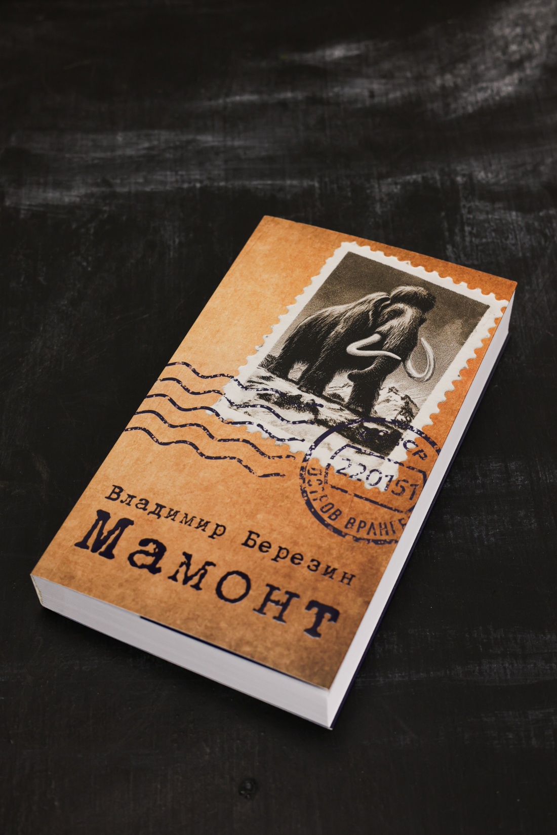 Промо материал к книге "Мамонт" №5