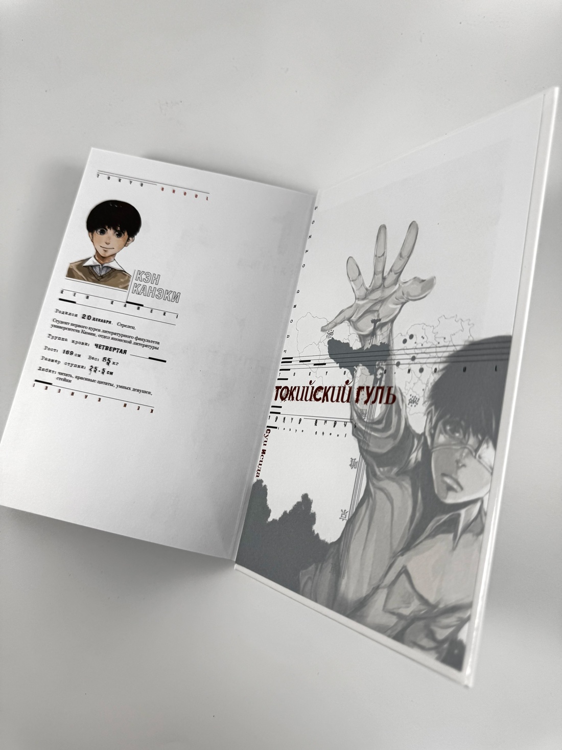 Промо материал к книге "Токийский гуль. Книга 1" №2