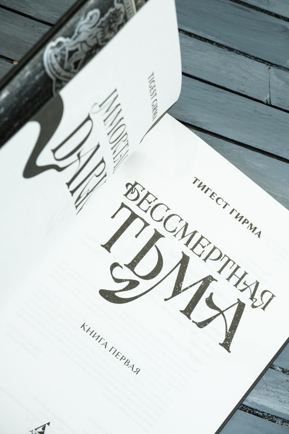 Промо материал к книге "Бессмертная тьма" №8