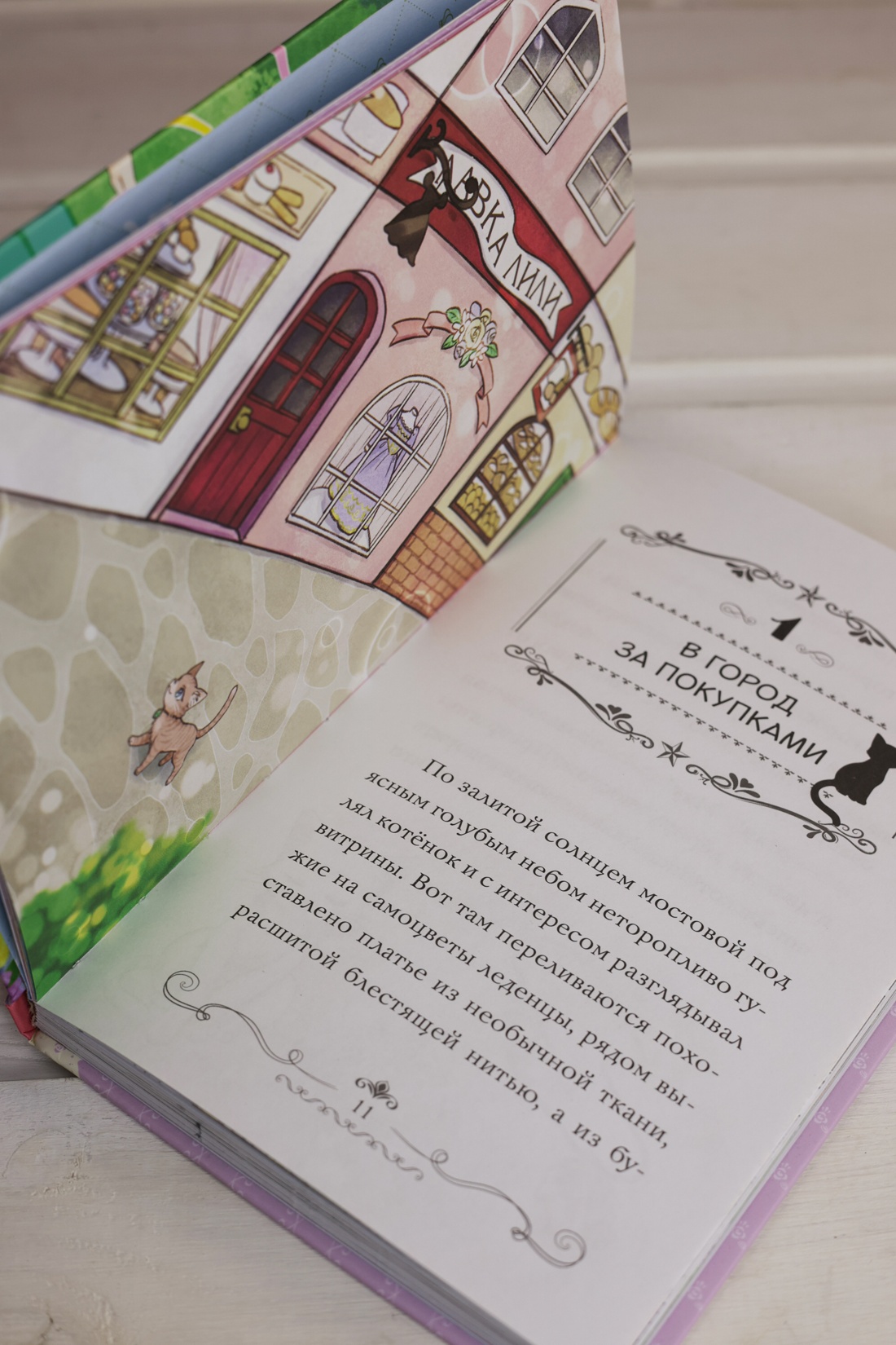 Промо материал к книге "Модные лапки" №10