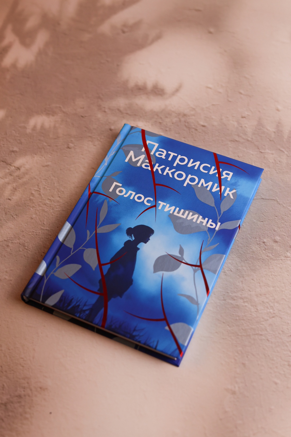 Промо материал к книге "Голос тишины" №5