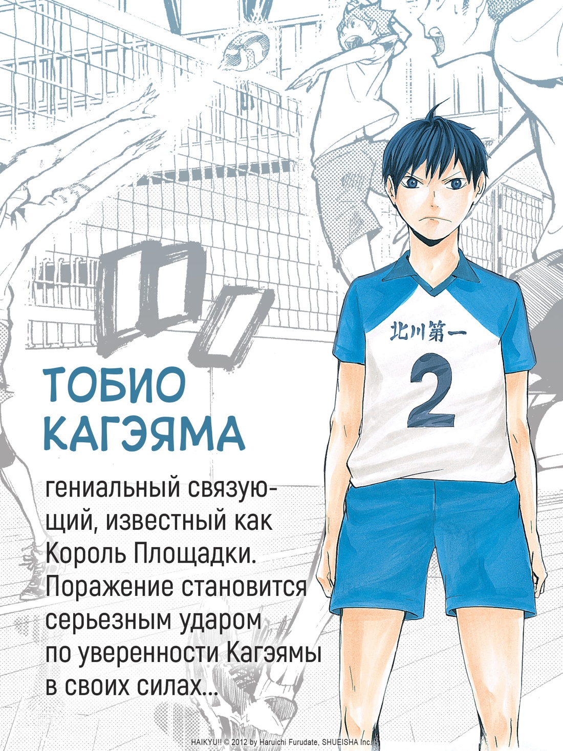 Промо материал к книге "Волейбол! Книга 1. Хината и Кагэяма. Вид с высоты" №3