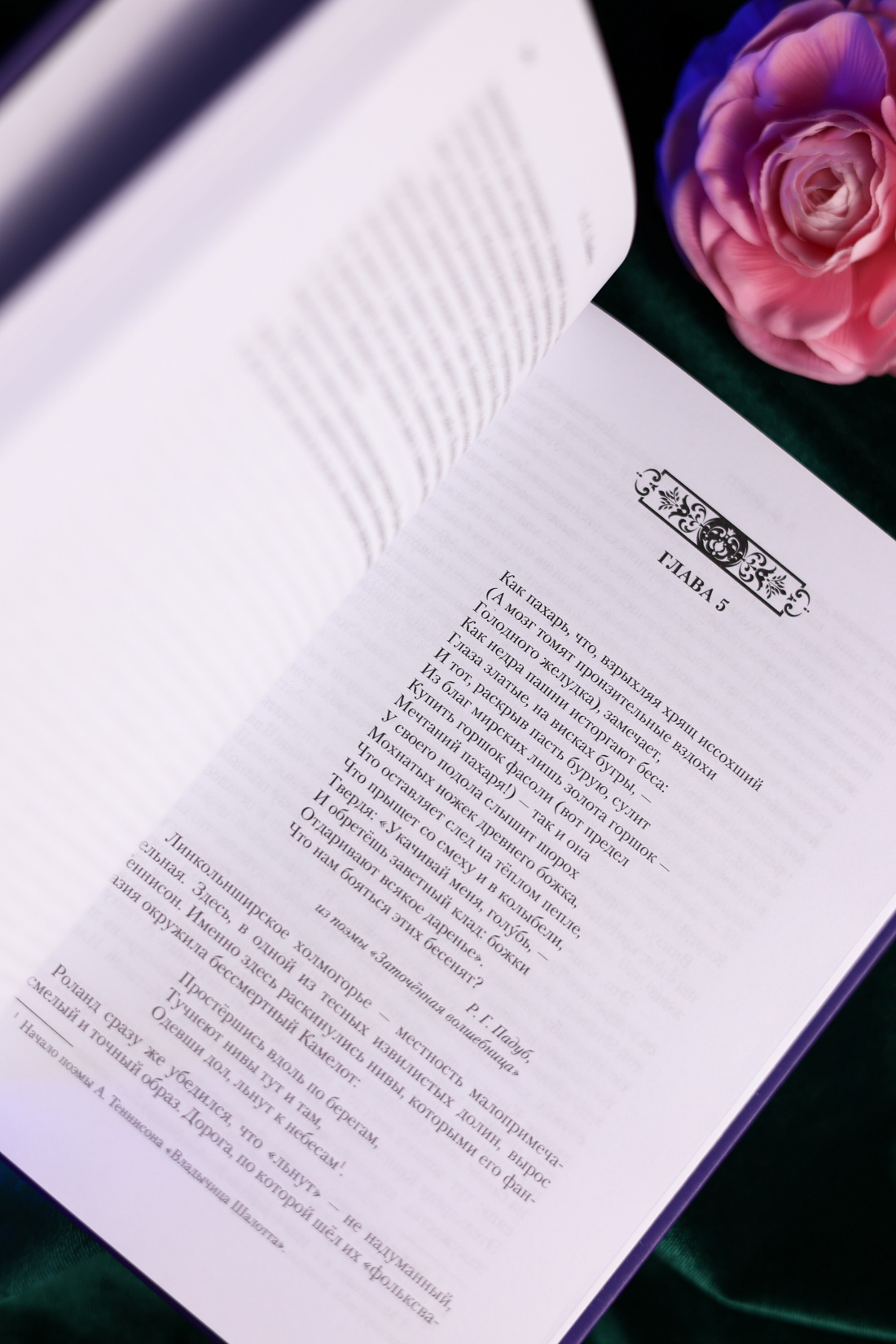 Промо материал к книге "Обладать" №10