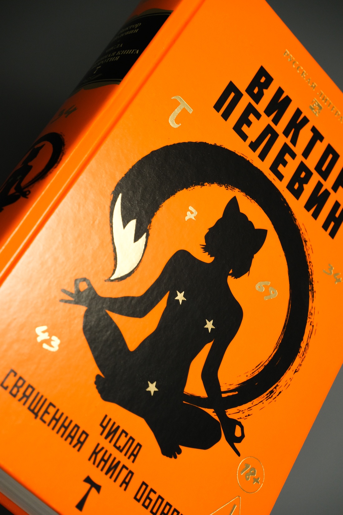 Промо материал к книге "Числа. Священная книга оборотня. T" №5
