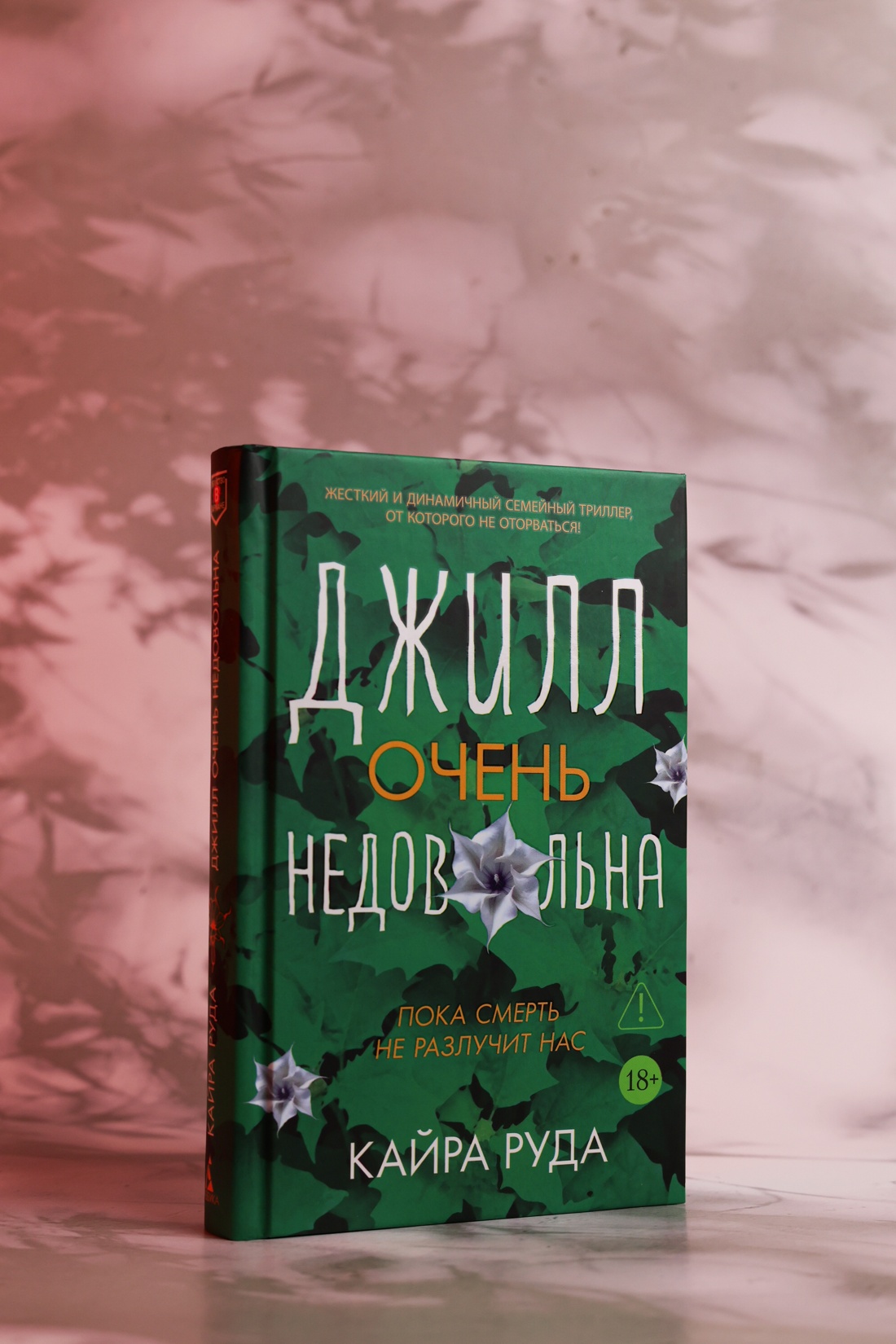 Промо материал к книге "Джилл очень недовольна" №4