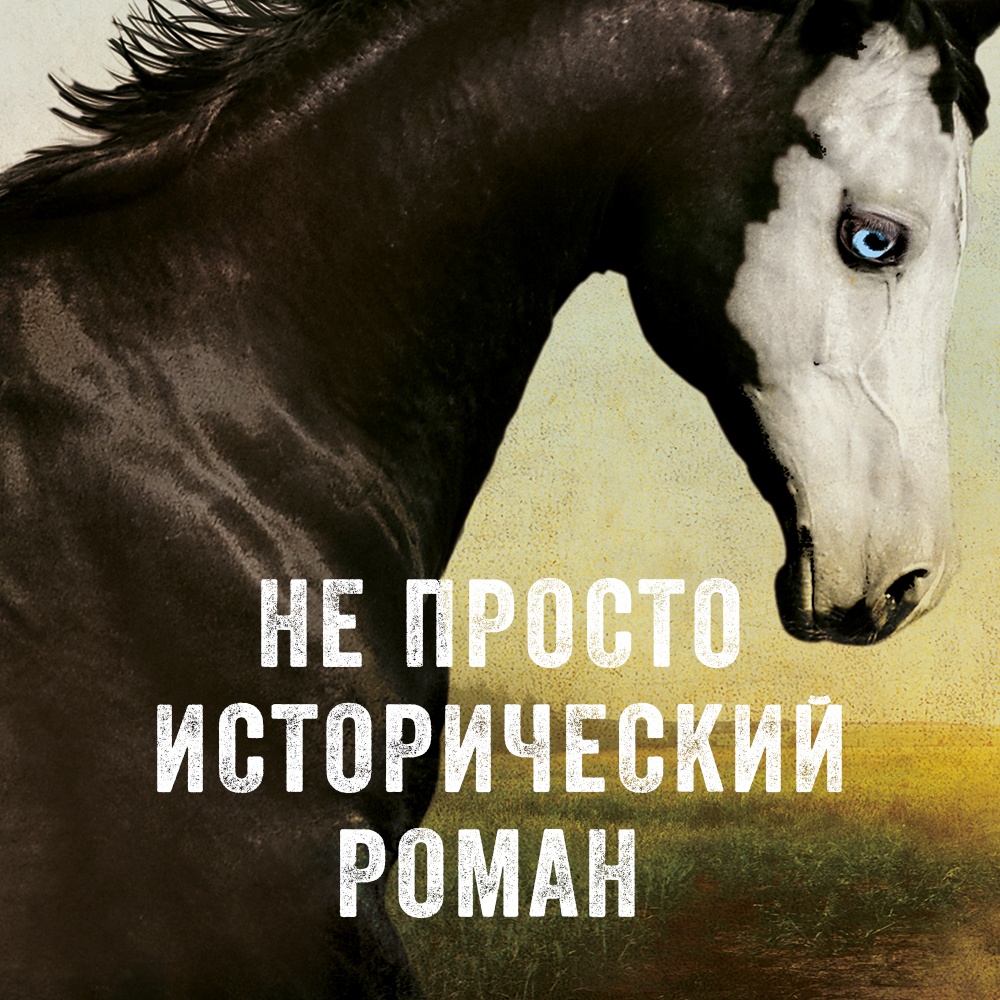 Промо материал к книге "Пони" №1