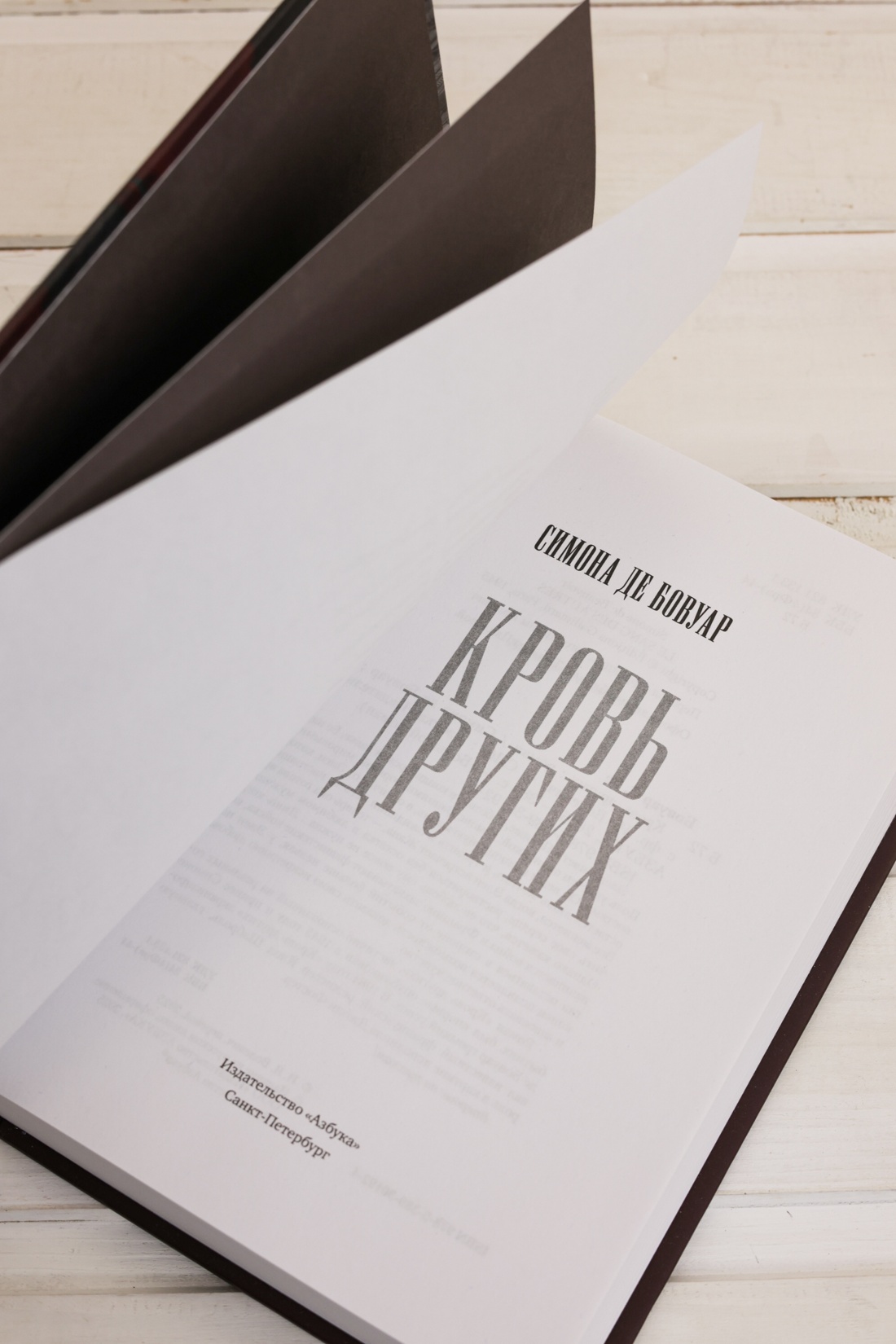 Промо материал к книге "Кровь других" №5