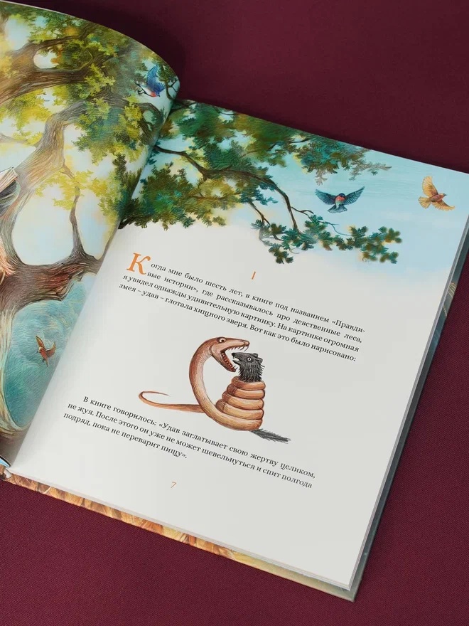 Промо материал к книге "Маленький принц (илл. Белоусовой)" №8