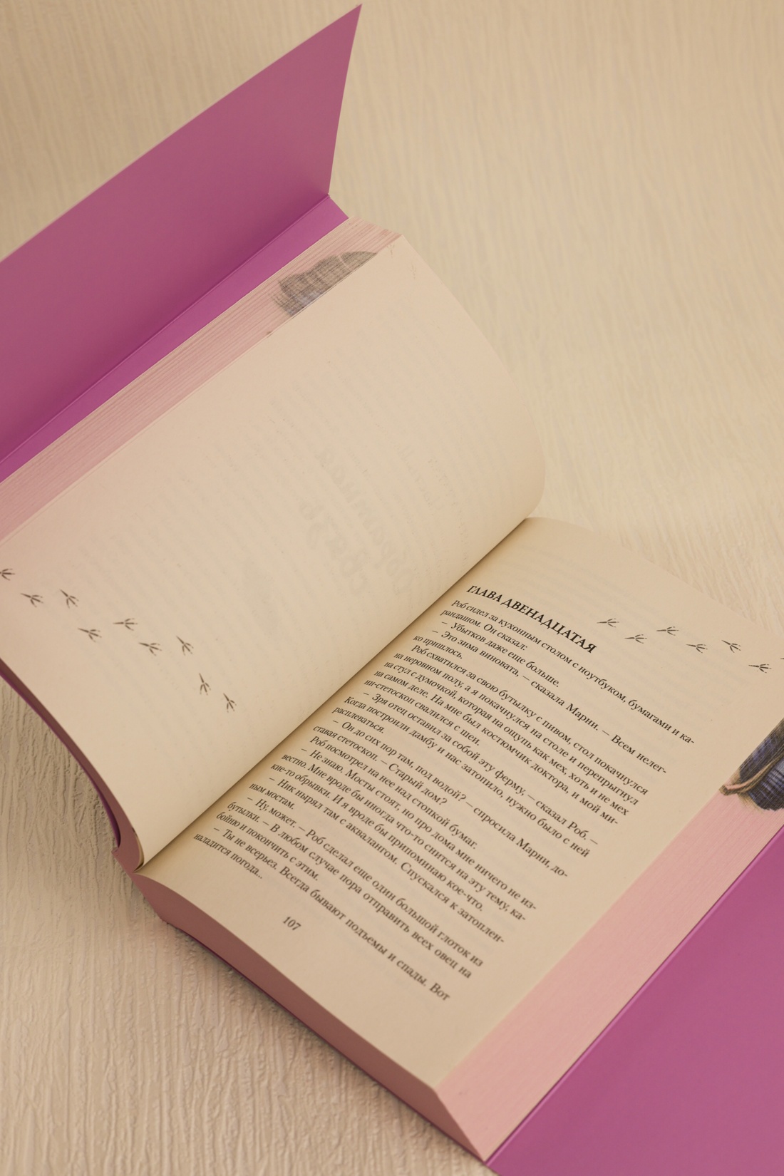 Промо материал к книге "Мир глазами Тамы" №14