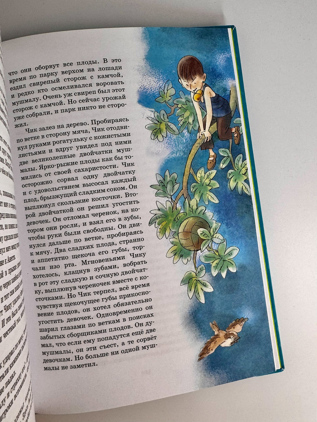 Промо материал к книге "Детство Чика (интегральный)" №5