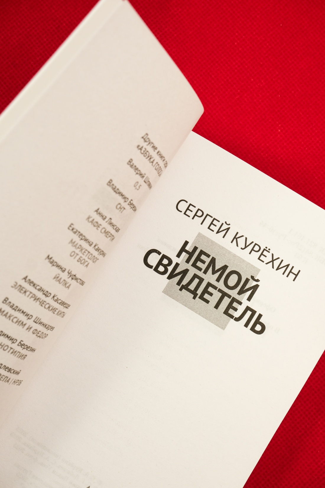 Промо материал к книге "Немой свидетель" №5