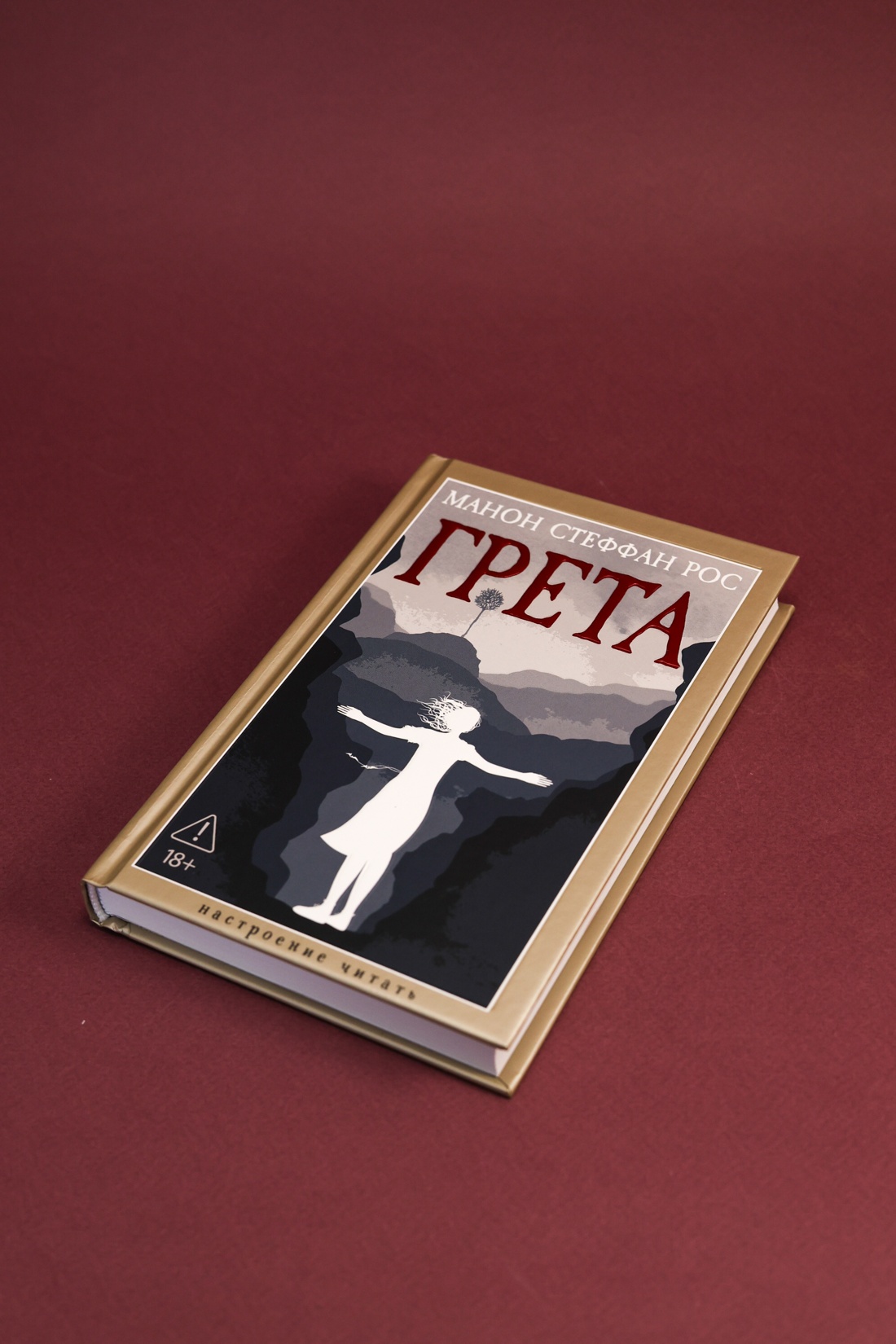 Промо материал к книге "Грета (твердый)" №7