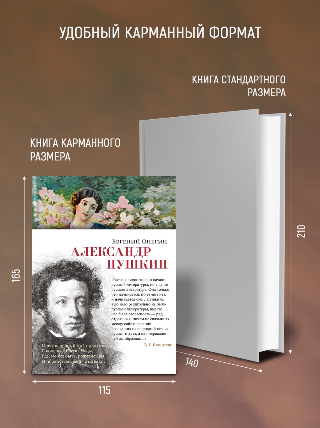 Промо материал к книге "Евгений Онегин (Азбука-поэзия)" №2