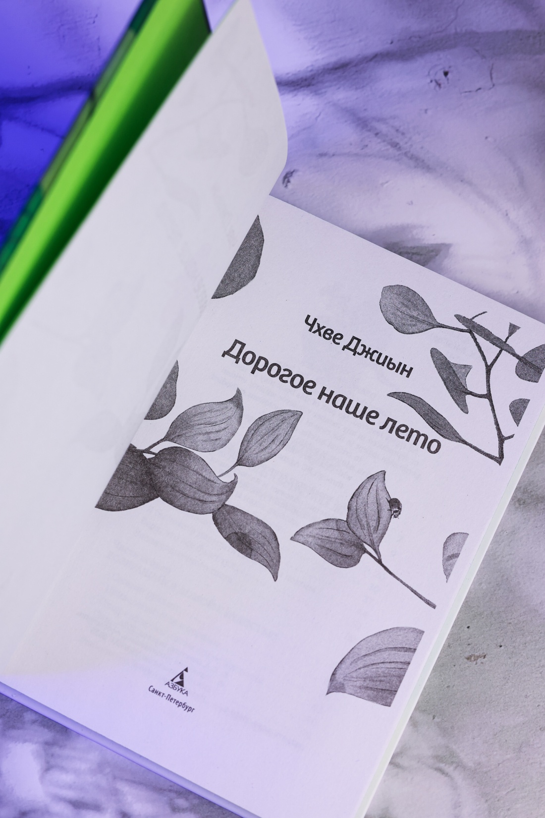 Промо материал к книге "Дорогое наше лето" №8