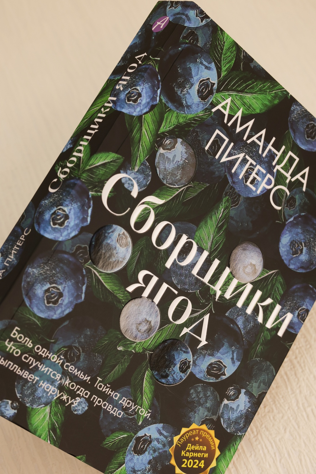 Промо материал к книге "Сборщики ягод" №10