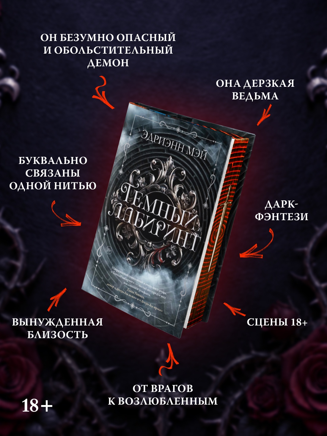 Промо материал к книге "Темный лабиринт. Книга 1" №1