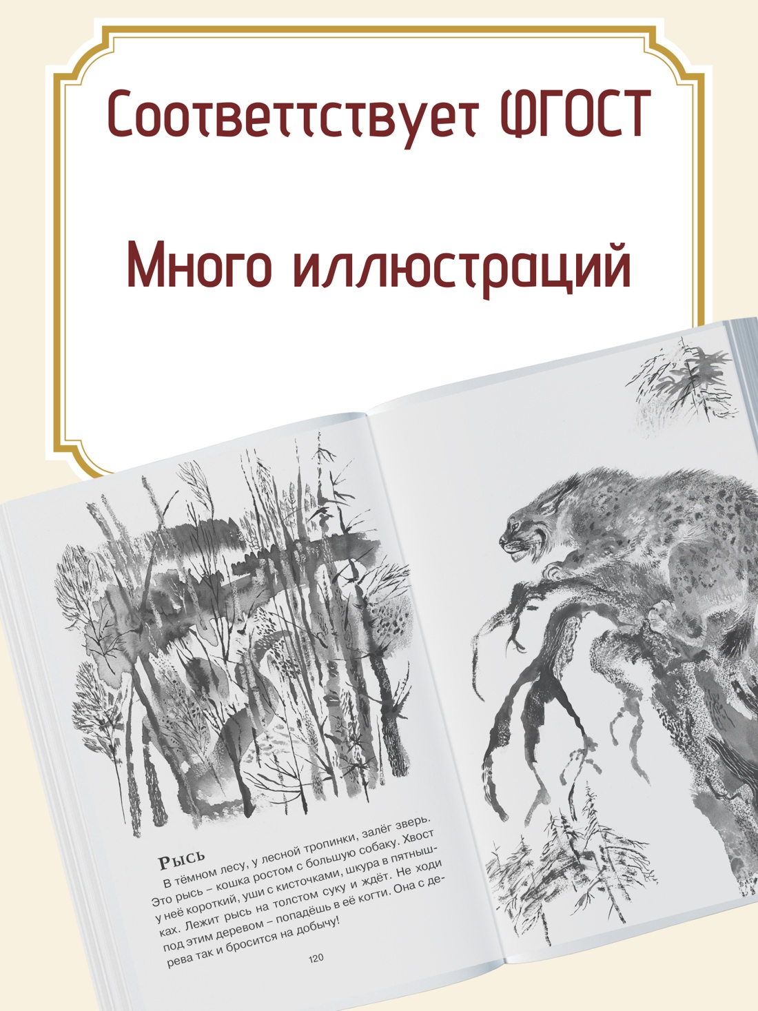 Промо материал к книге "Друзья" №1