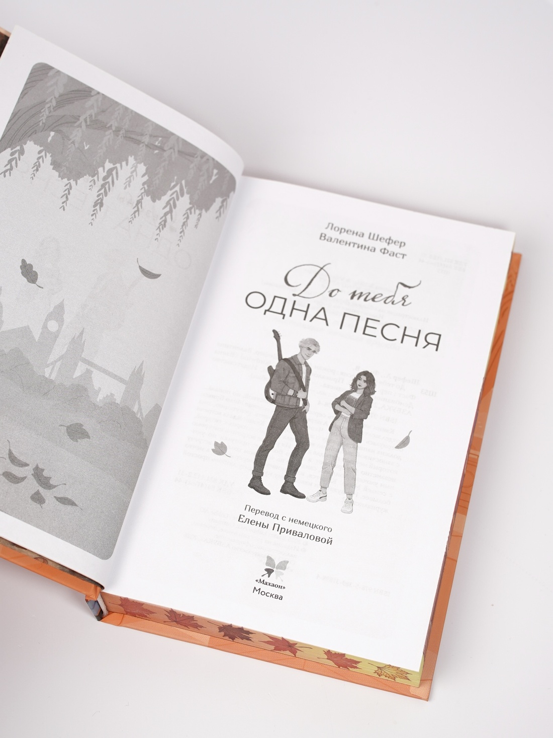 Промо материал к книге "До тебя одна песня" №9
