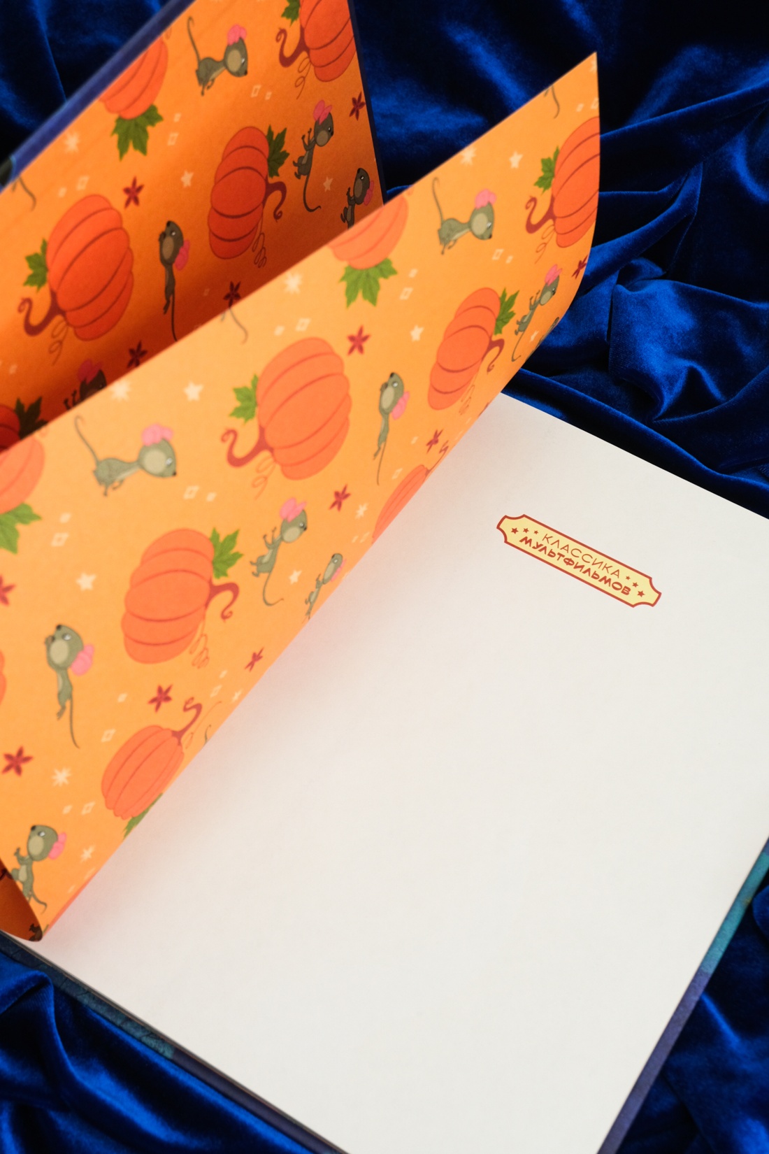 Промо материал к книге "Золушка" №5