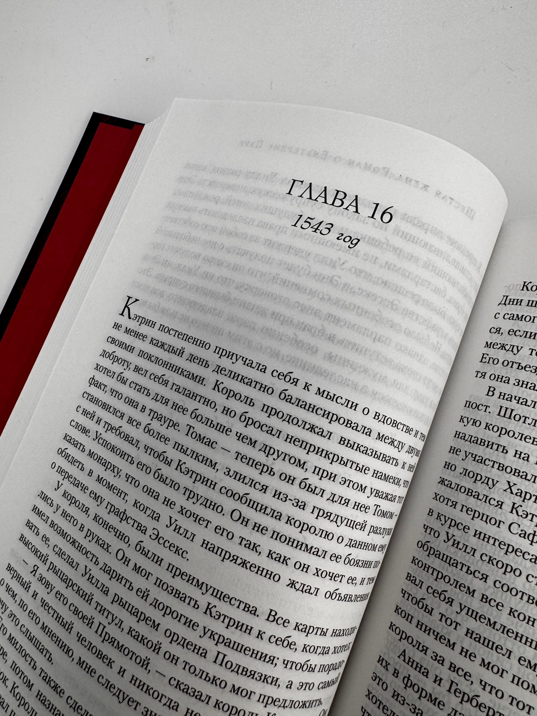 Промо материал к книге "Шестая жена. Роман о Екатерине Парр" №8