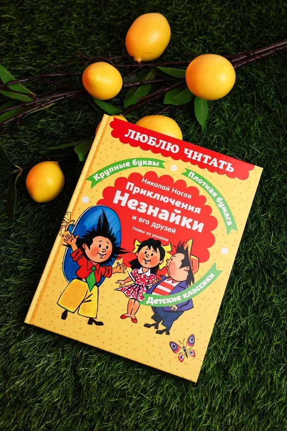 Промо материал к книге "Приключения Незнайки и его друзей. Главы из романа" №5