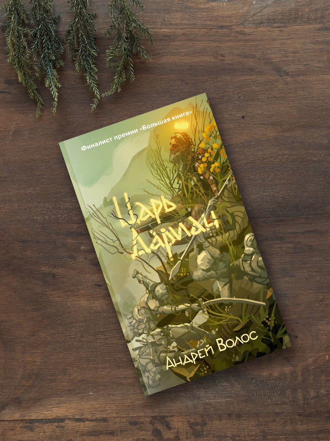 Промо материал к книге "Царь Дариан" №2