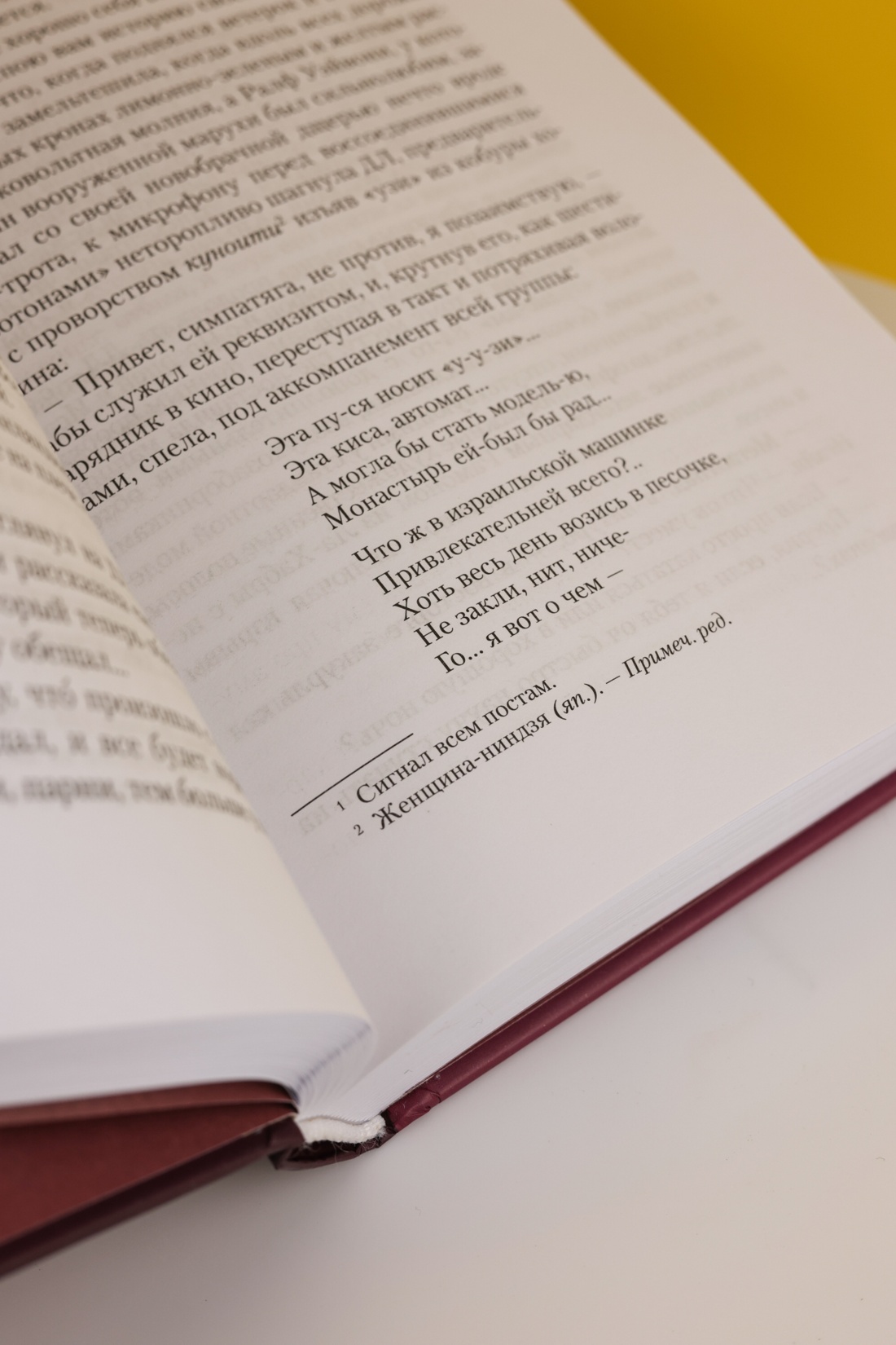 Промо материал к книге "Винляндия" №8