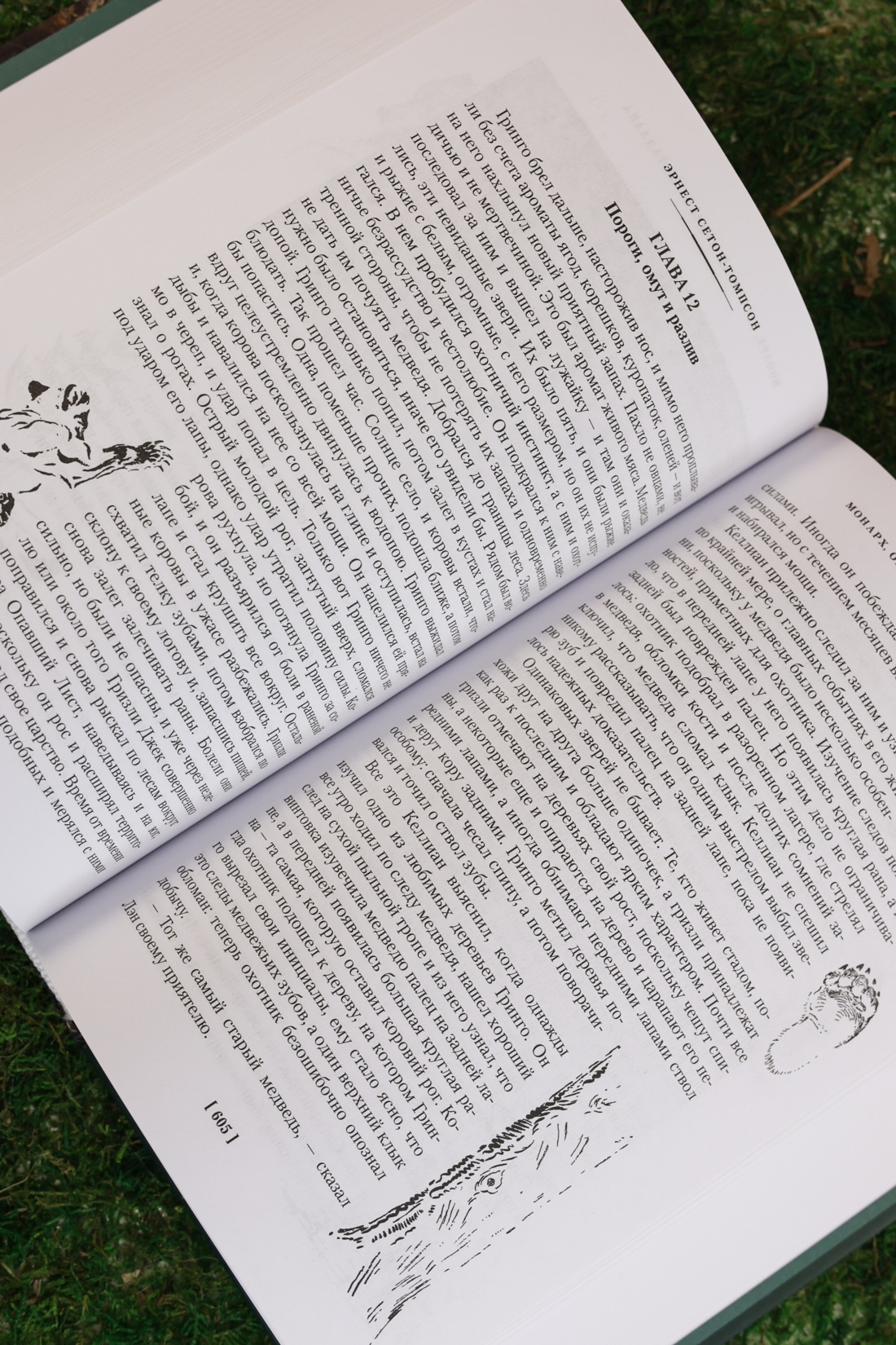 Промо материал к книге "Рольф в лесах. Лесные рассказы" №12