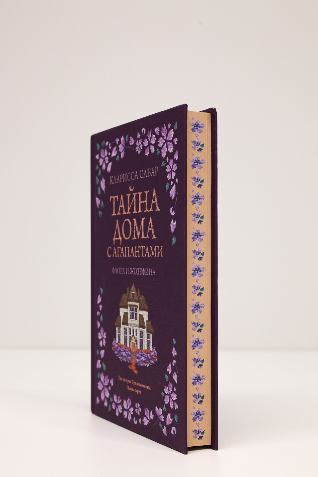 Промо материал к книге "Тайна дома с агапантами: Флора и Жозефина" №6
