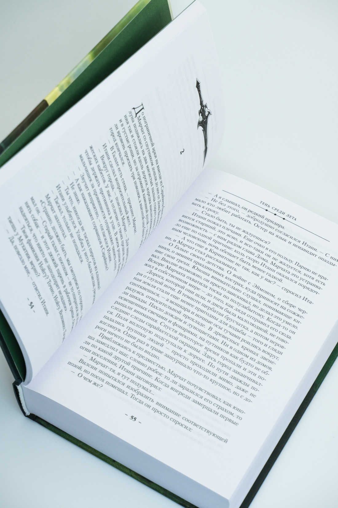 Промо материал к книге "Суровая расплата. Книга 1. Тень среди лета. Предательство среди зимы" №5