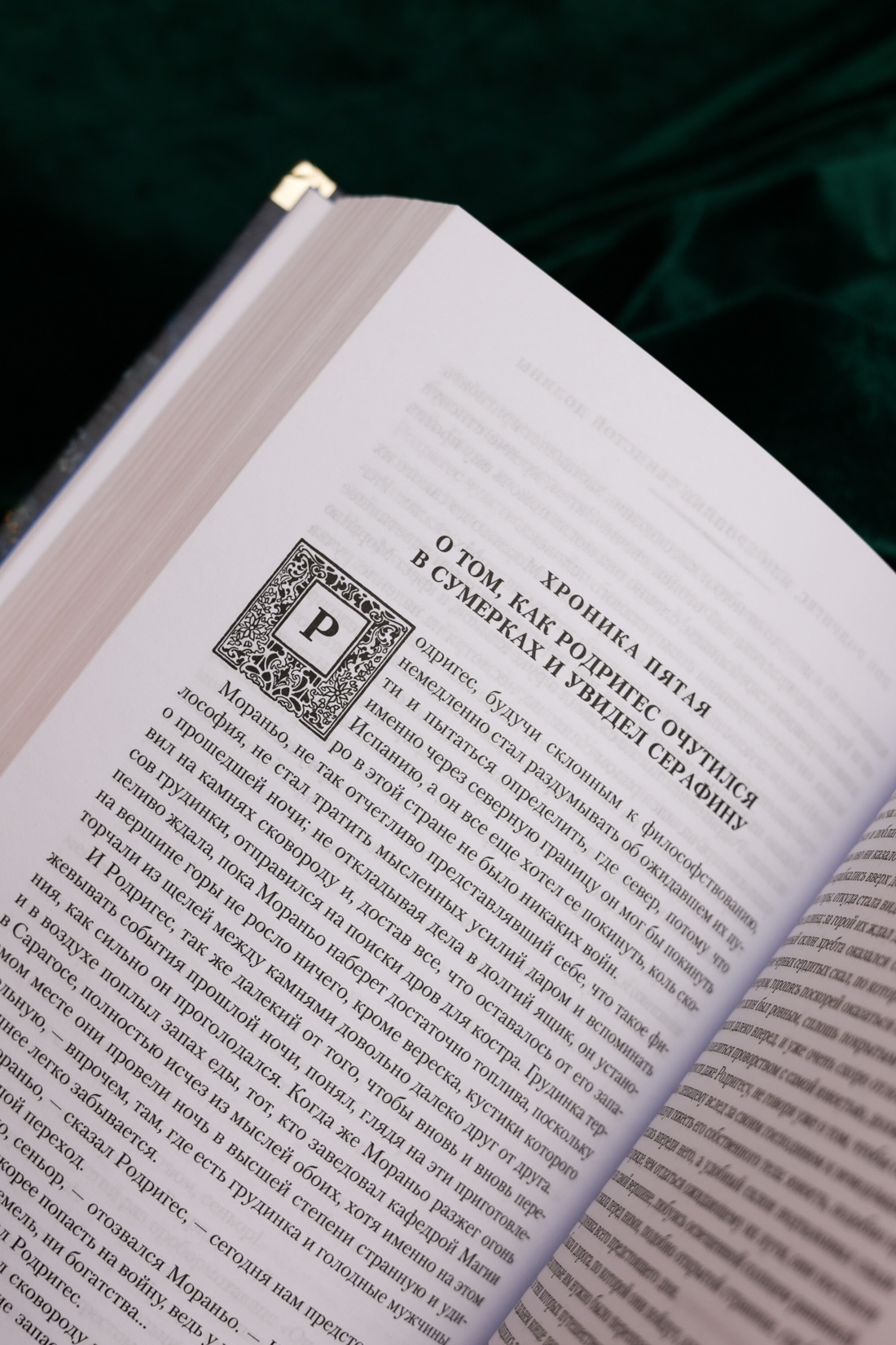 Промо материал к книге "Человек, который съел феникса. Хроники Тенистой Долины" №10