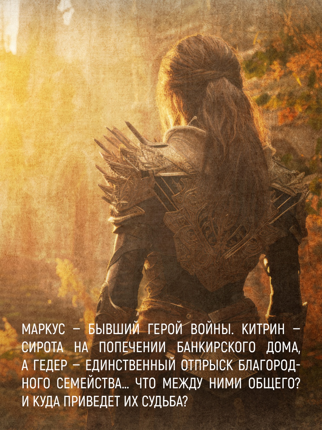 Промо материал к книге "Кинжал и монета. Книга 2. Королевская кровь" №4