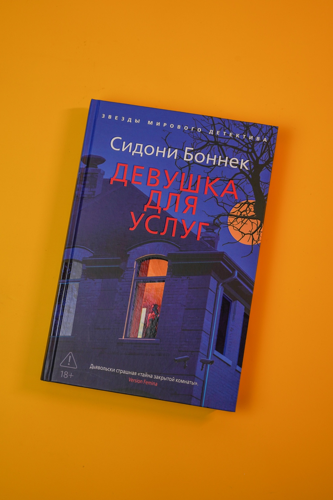 Промо материал к книге "Девушка для услуг" №4