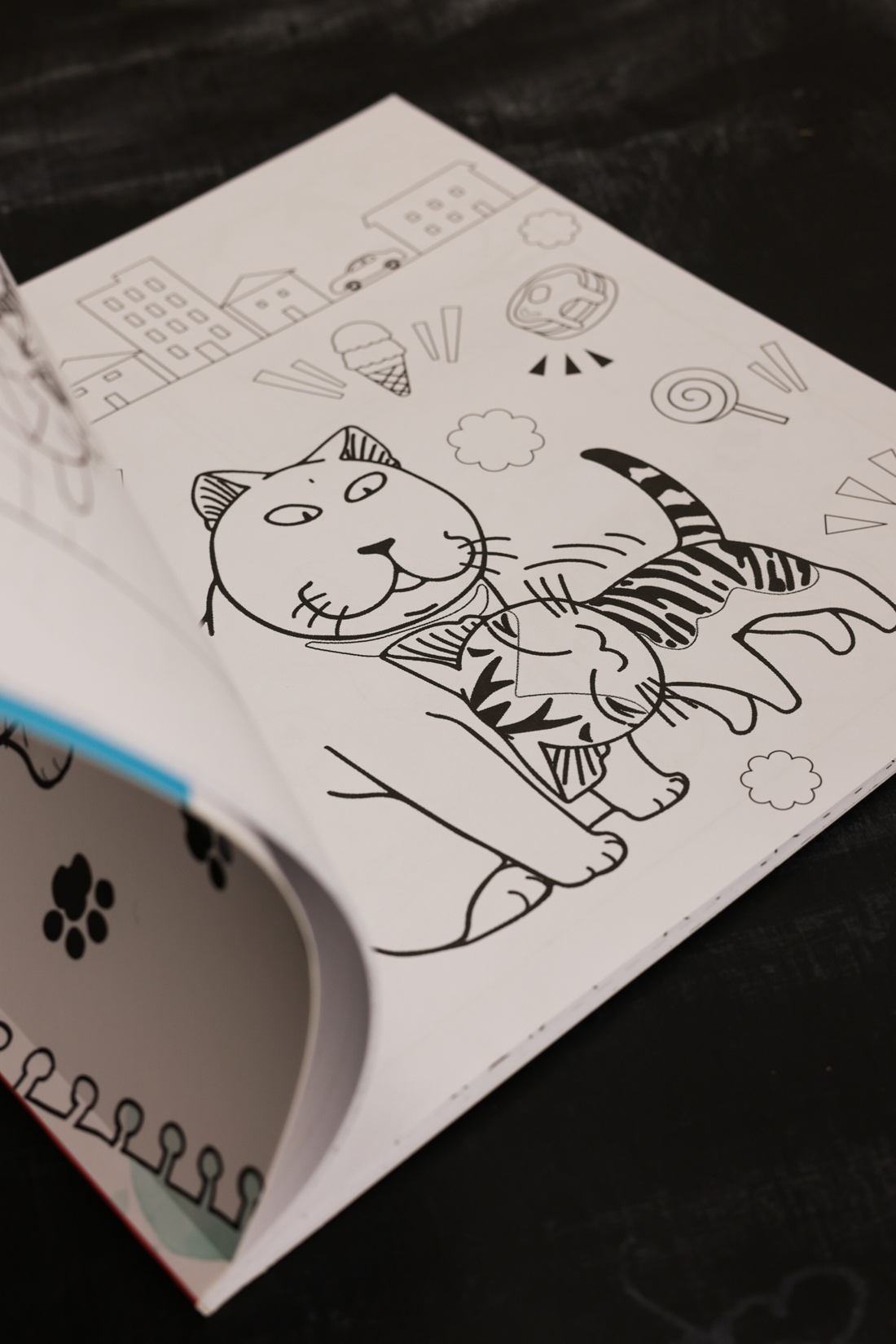 Промо материал к книге "Милый дом Чи. Книга для раскрашивания" №9