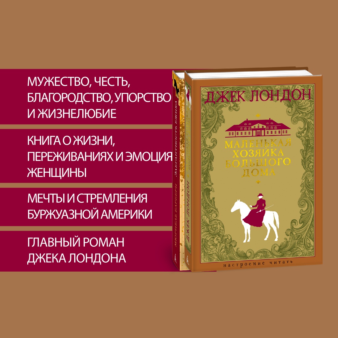 Промо материал к книге "Маленькая хозяйка большого дома" №1