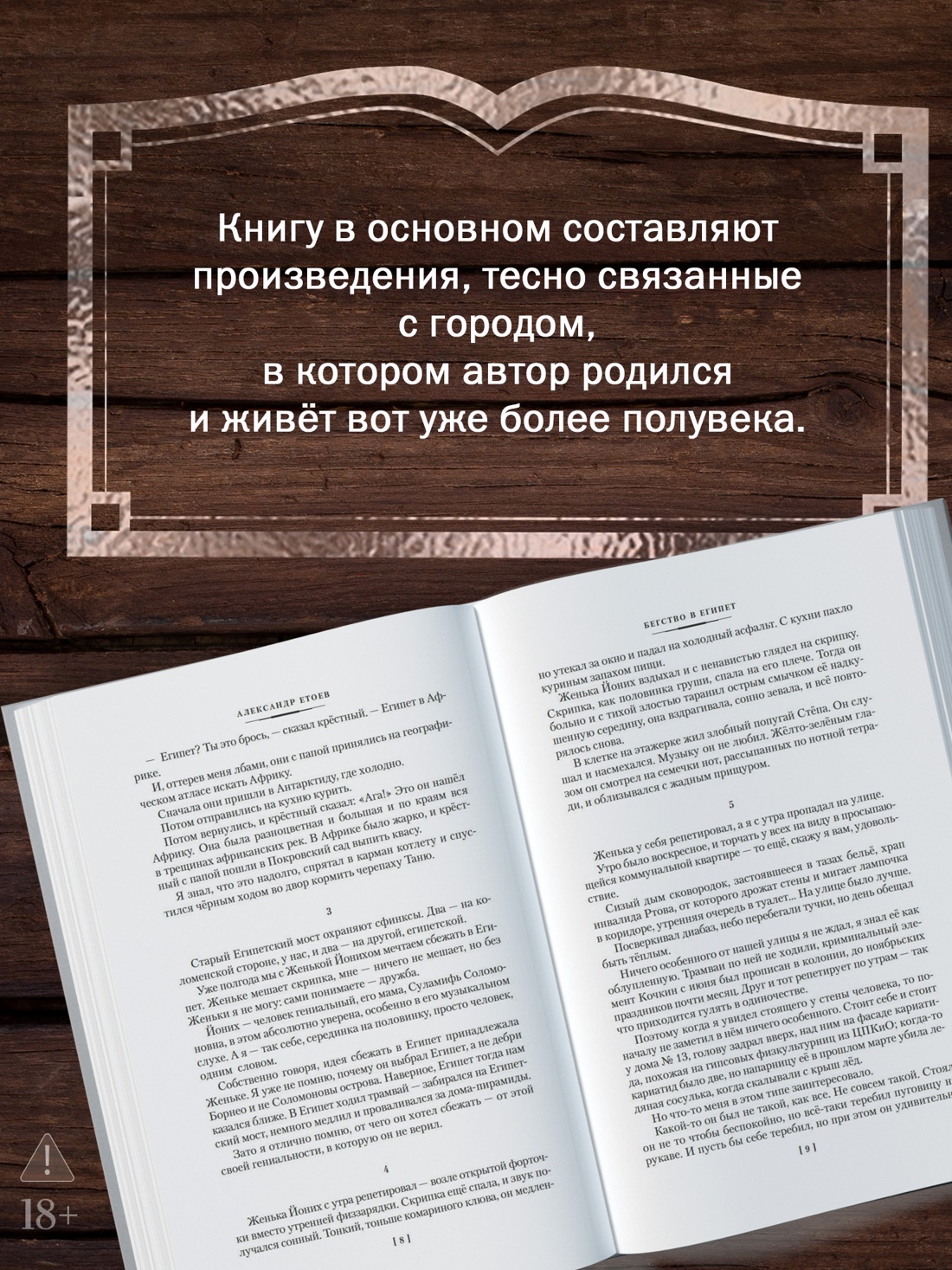 Промо материал к книге "Бегство в Египет. Петербургские светотени" №2