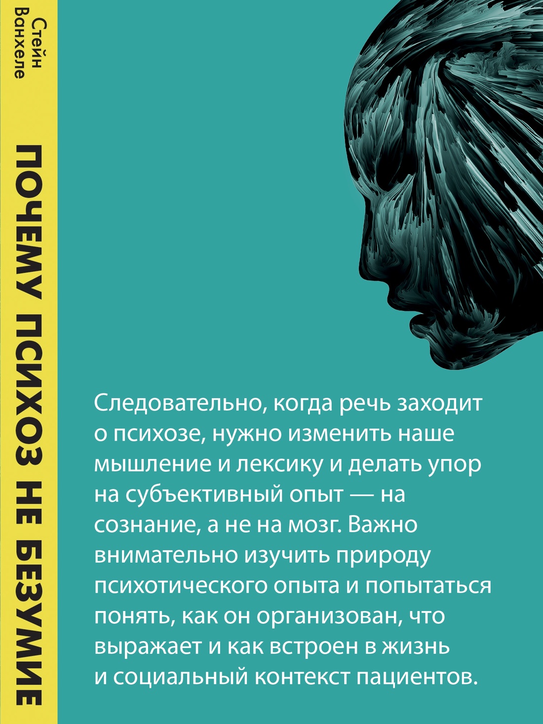 Промо материал к книге "Почему психоз не безумие. Рекомендации для специалистов, пациентов и их родных" №4